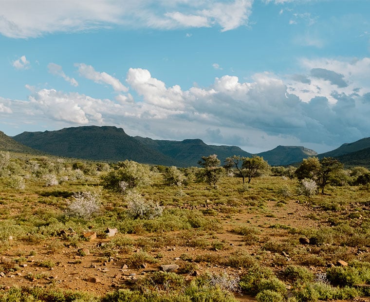 conserving-karoo